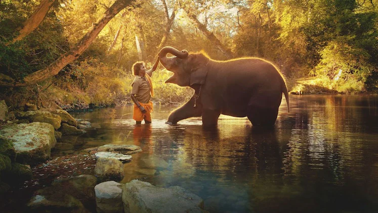 The Elephant Whisperers Movie Review