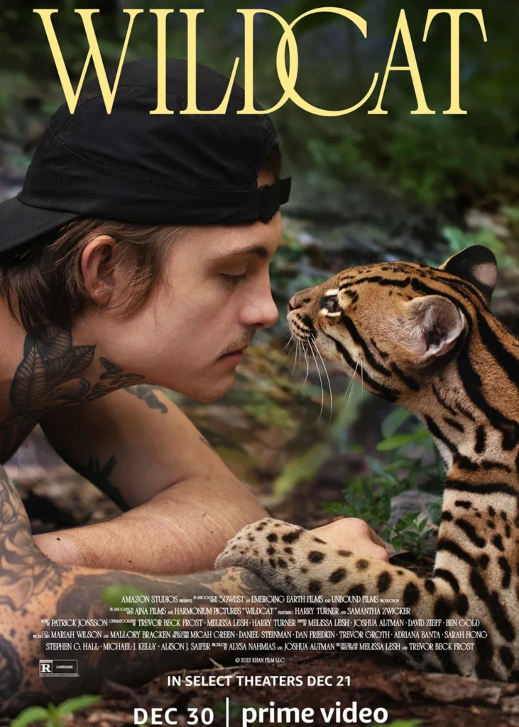 Wildcat Movie Download