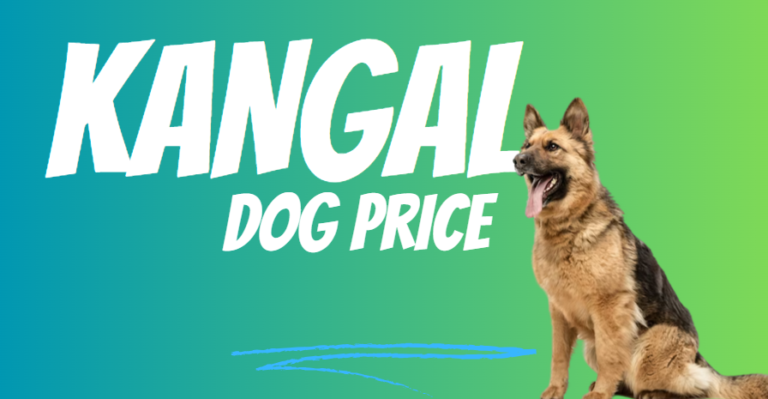 Kangal Dog Price